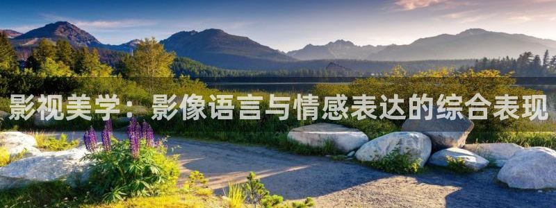 拉风色中色欧美影院：影视美学：影像语言与情感表达的综合表现