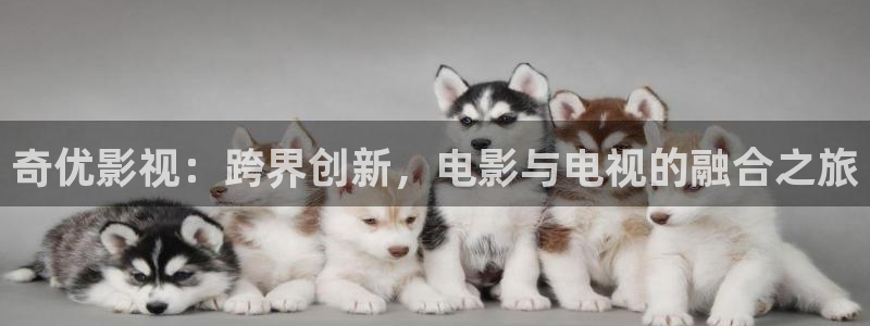 欧美影院在线观看一区二区