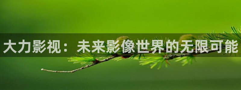xo欧美影院