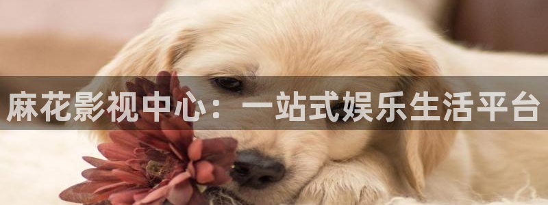 老司机欧美影院