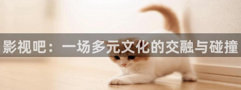 天天欧美影院：影视吧：一场多元文化的交融与碰撞
