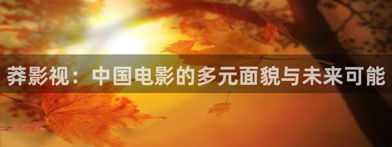 欧美影院|超棒大片：莽影视：中国电影的多元面貌与未来可能